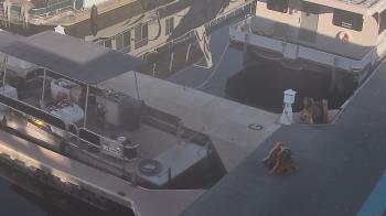 Weather camera view of Lake Powell Resorts and Marinas - Wahweap Marina.