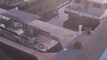 Weather camera view of Lake Powell Resorts and Marinas - Wahweap Marina.