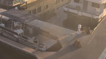 Weather camera view of Lake Powell Resorts and Marinas - Wahweap Marina.