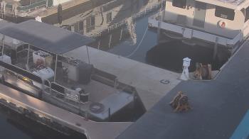 Weather camera view of Lake Powell Resorts and Marinas - Wahweap Marina.