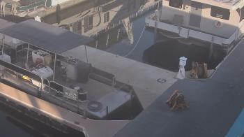 Weather camera view of Lake Powell Resorts and Marinas - Wahweap Marina.