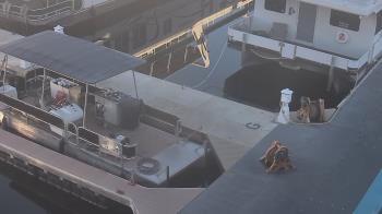 Weather camera view of Lake Powell Resorts and Marinas - Wahweap Marina.