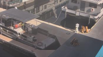 Weather camera view of Lake Powell Resorts and Marinas - Wahweap Marina.