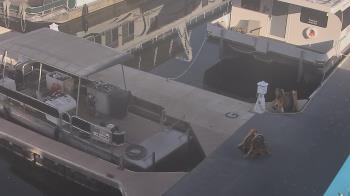 Weather camera view of Lake Powell Resorts and Marinas - Wahweap Marina.