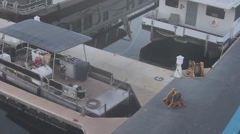 Weather camera view of Lake Powell Resorts and Marinas - Wahweap Marina.