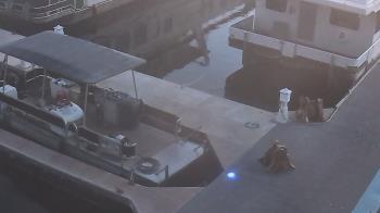 Weather camera view of Lake Powell Resorts and Marinas - Wahweap Marina.