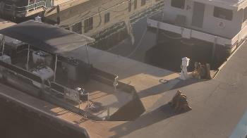 Weather camera view of Lake Powell Resorts and Marinas - Wahweap Marina.