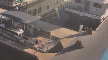 Weather camera view of Lake Powell Resorts and Marinas - Wahweap Marina.