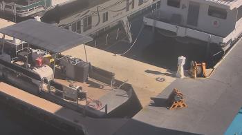 Weather camera view of Lake Powell Resorts and Marinas - Wahweap Marina.