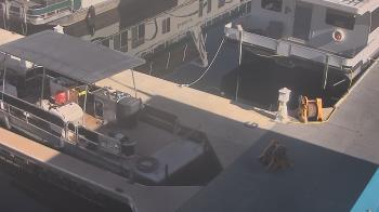 Weather camera view of Lake Powell Resorts and Marinas - Wahweap Marina.