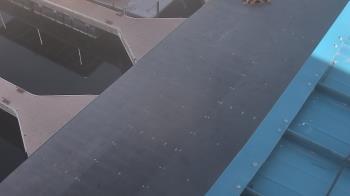 Weather camera view of Lake Powell Resorts and Marinas - Wahweap Marina.