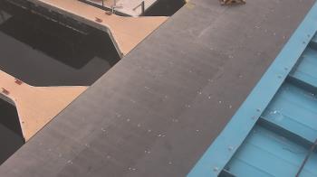 Weather camera view of Lake Powell Resorts and Marinas - Wahweap Marina.