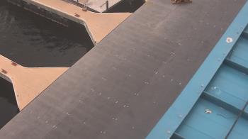 Weather camera view of Lake Powell Resorts and Marinas - Wahweap Marina.