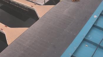 Weather camera view of Lake Powell Resorts and Marinas - Wahweap Marina.