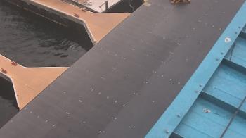 Weather camera view of Lake Powell Resorts and Marinas - Wahweap Marina.