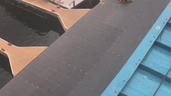 Weather camera view of Lake Powell Resorts and Marinas - Wahweap Marina.