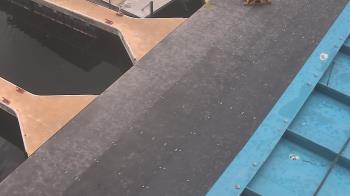 Weather camera view of Lake Powell Resorts and Marinas - Wahweap Marina.