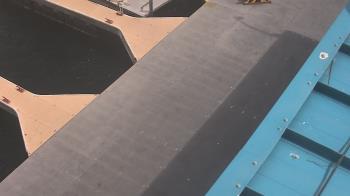 Weather camera view of Lake Powell Resorts and Marinas - Wahweap Marina.