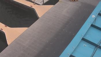 Weather camera view of Lake Powell Resorts and Marinas - Wahweap Marina.