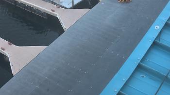 Weather camera view of Lake Powell Resorts and Marinas - Wahweap Marina.