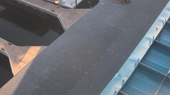 Weather camera view of Lake Powell Resorts and Marinas - Wahweap Marina.