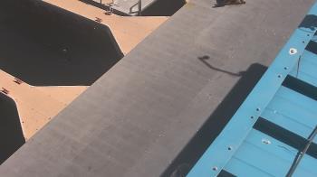 Weather camera view of Lake Powell Resorts and Marinas - Wahweap Marina.