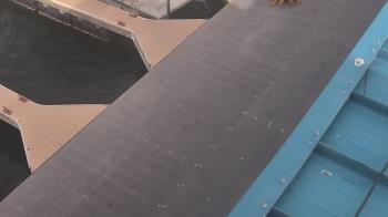 Weather camera view of Lake Powell Resorts and Marinas - Wahweap Marina.