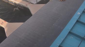 Weather camera view of Lake Powell Resorts and Marinas - Wahweap Marina.