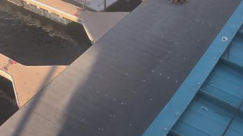 Weather camera view of Lake Powell Resorts and Marinas - Wahweap Marina.