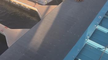 Weather camera view of Lake Powell Resorts and Marinas - Wahweap Marina.