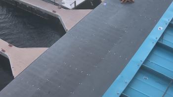 Weather camera view of Lake Powell Resorts and Marinas - Wahweap Marina.