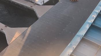 Weather camera view of Lake Powell Resorts and Marinas - Wahweap Marina.