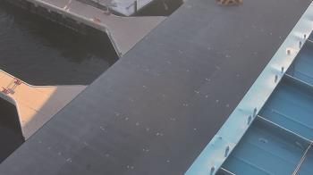 Weather camera view of Lake Powell Resorts and Marinas - Wahweap Marina.