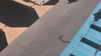 Weather camera view of Lake Powell Resorts and Marinas - Wahweap Marina.