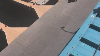 Weather camera view of Lake Powell Resorts and Marinas - Wahweap Marina.