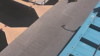 Weather camera view of Lake Powell Resorts and Marinas - Wahweap Marina.