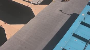 Weather camera view of Lake Powell Resorts and Marinas - Wahweap Marina.