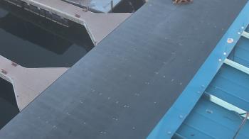 Weather camera view of Lake Powell Resorts and Marinas - Wahweap Marina.