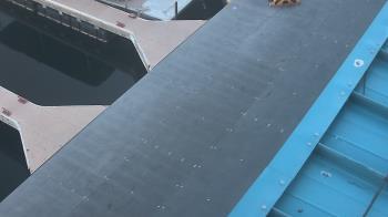 Weather camera view of Lake Powell Resorts and Marinas - Wahweap Marina.