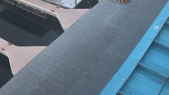 Weather camera view of Lake Powell Resorts and Marinas - Wahweap Marina.