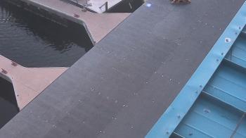 Weather camera view of Lake Powell Resorts and Marinas - Wahweap Marina.