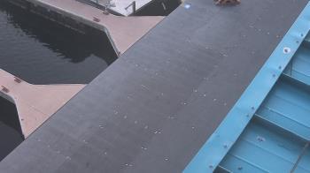 Weather camera view of Lake Powell Resorts and Marinas - Wahweap Marina.