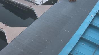 Weather camera view of Lake Powell Resorts and Marinas - Wahweap Marina.