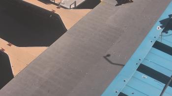 Weather camera view of Lake Powell Resorts and Marinas - Wahweap Marina.