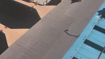 Weather camera view of Lake Powell Resorts and Marinas - Wahweap Marina.