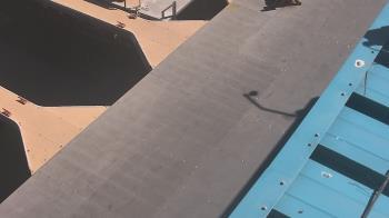 Weather camera view of Lake Powell Resorts and Marinas - Wahweap Marina.