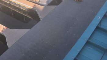 Weather camera view of Lake Powell Resorts and Marinas - Wahweap Marina.