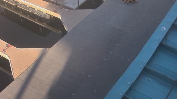 Weather camera view of Lake Powell Resorts and Marinas - Wahweap Marina.