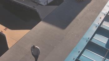 Weather camera view of Lake Powell Resorts and Marinas - Wahweap Marina.