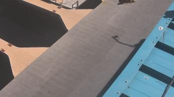 Weather camera view of Lake Powell Resorts and Marinas - Wahweap Marina.